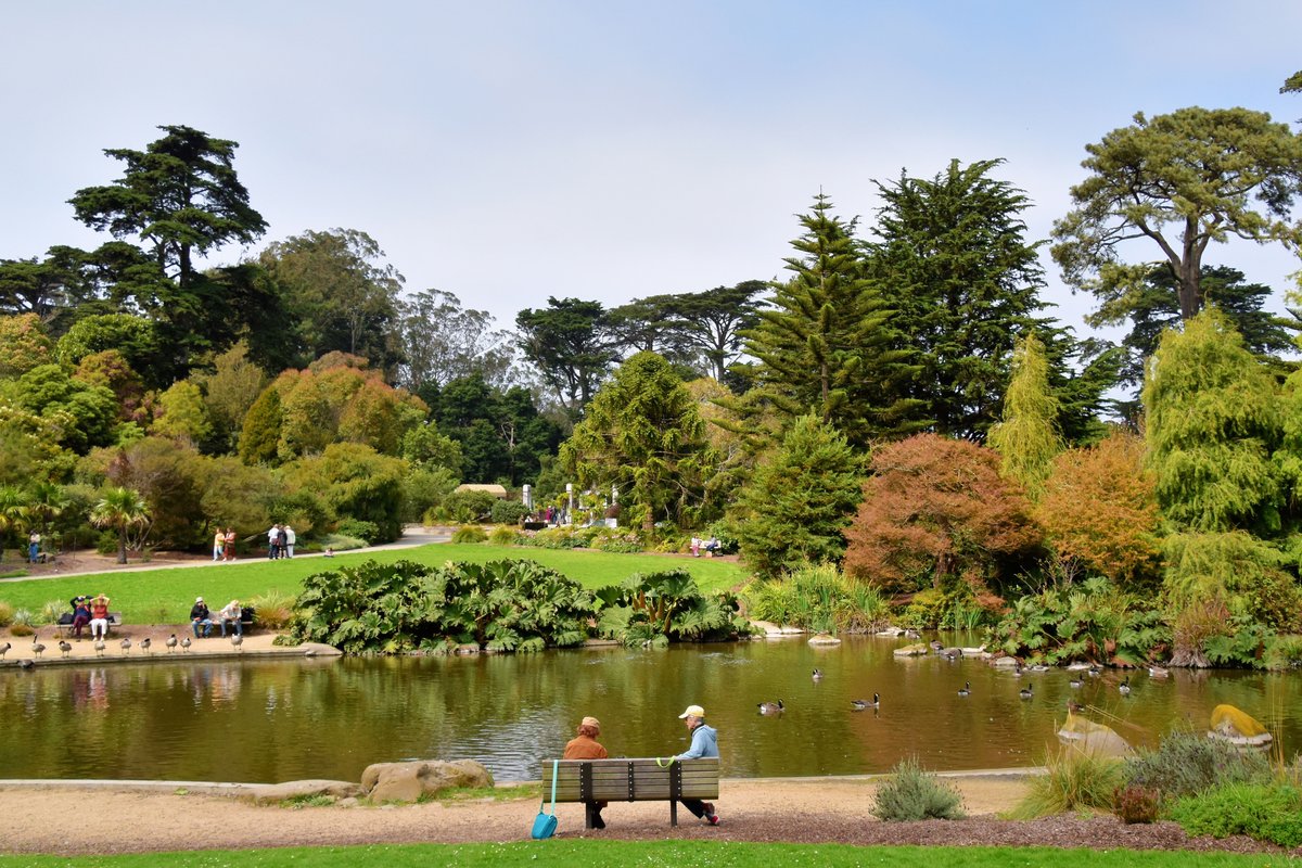 Golden Gate Park Guide: Museen, Gärten & versteckte Highlights in San Francisco 2025 2 Golden Gate Park Guide