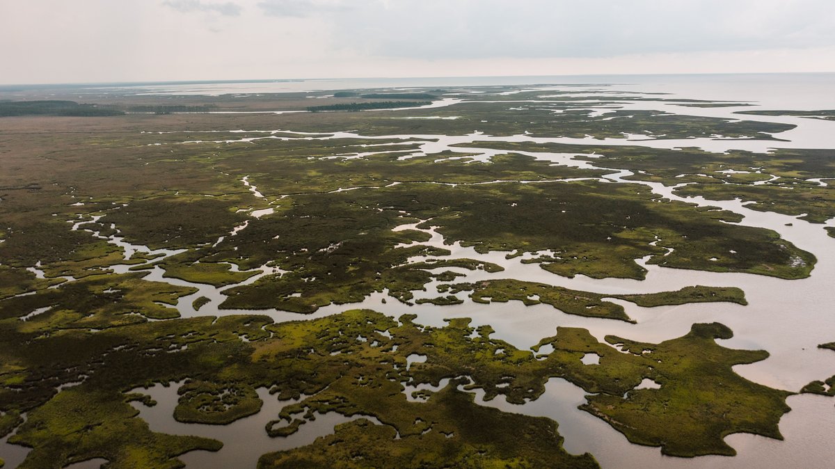 Südstaaten USA: Route für 2 Wochen (Musik, Mississippi & New Orleans) 5 Landschaft am Mississippi