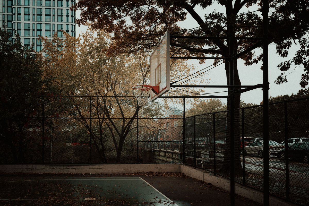 New York Knicks Tickets kaufen 2026: Madison Square Garden Guide 2 New York Knicks Tickets kaufen