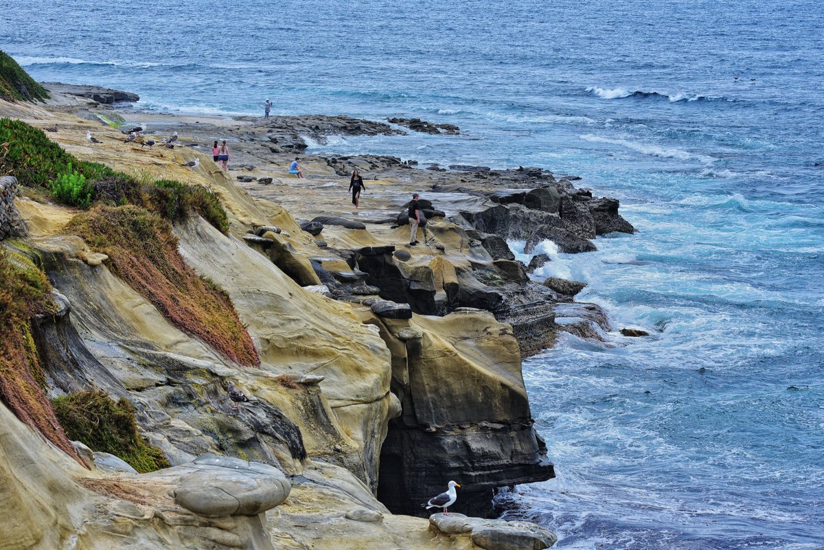 Westküste USA: Route für 3 Wochen (mit Highway 1 & Joshua Tree) 5 Die Küste von La Jolla bei San Diego
